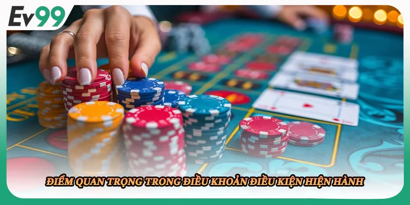 Điểm quan trọng trong điều khoản điều kiện hiện hành